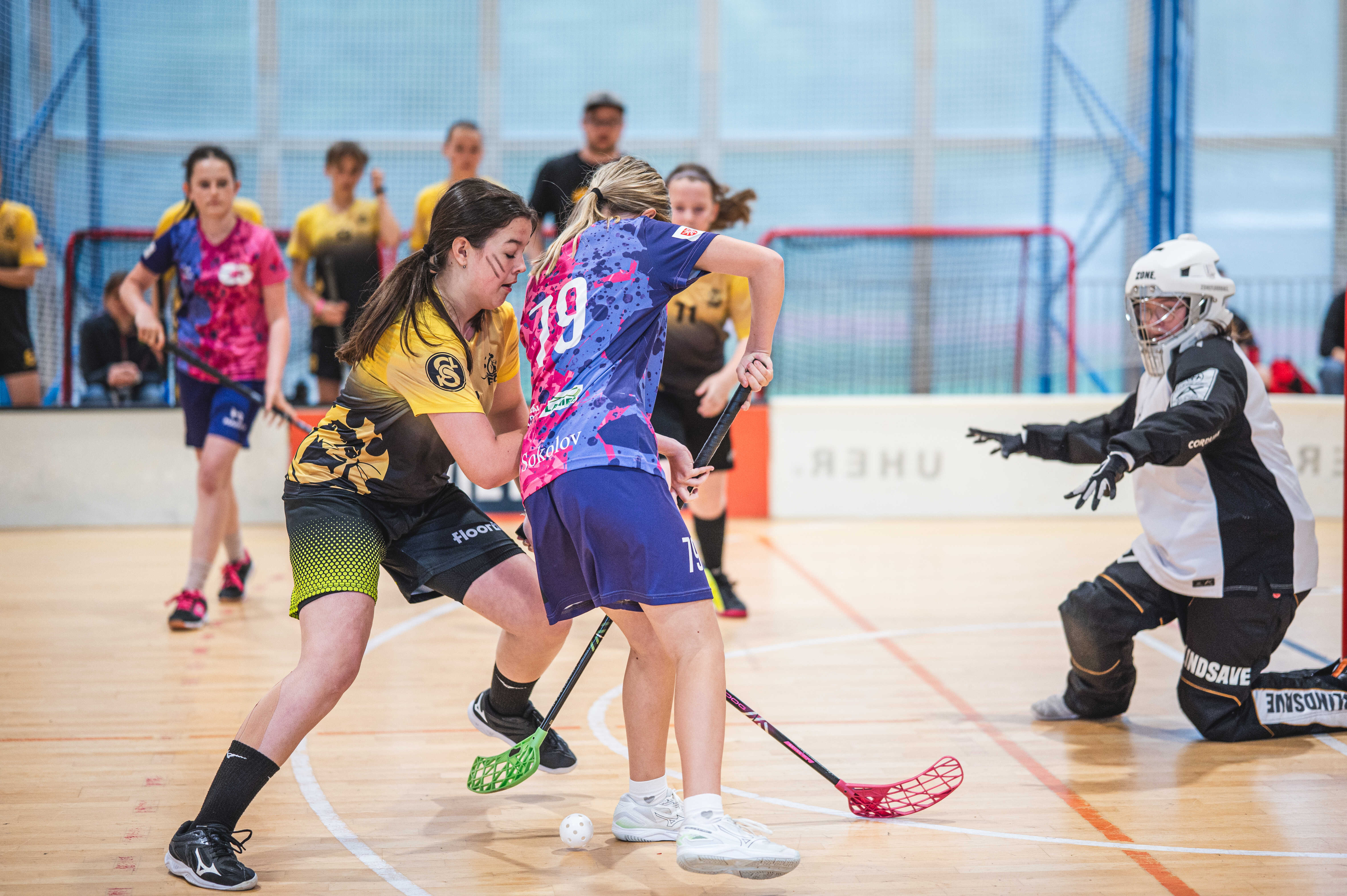 54613482596_f43a8173bf_o_optimized